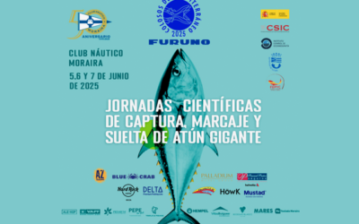 El Club Náutico Moraira y el Instituto Español de Oceanografía organizan las jornadas científicas “Colosos del Mediterráneo 2025” para el marcaje y suelta de atún rojo