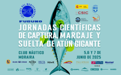 Jornadas Científicas de captura, marcaje y suelta de atún gigante