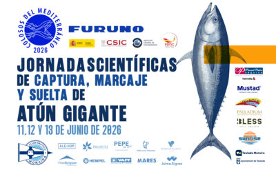 El Club Náutico Moraira acogerá una nueva edición de “Colosos del Mediterráneo 2026”